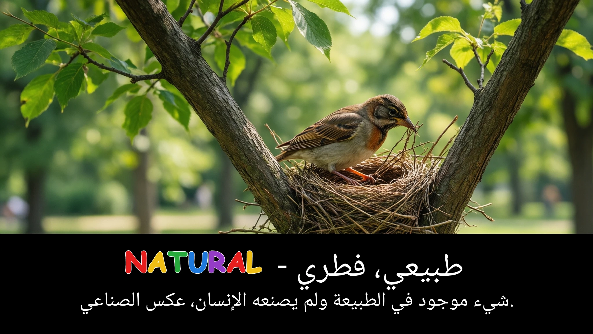 Arabic Illustration for natural